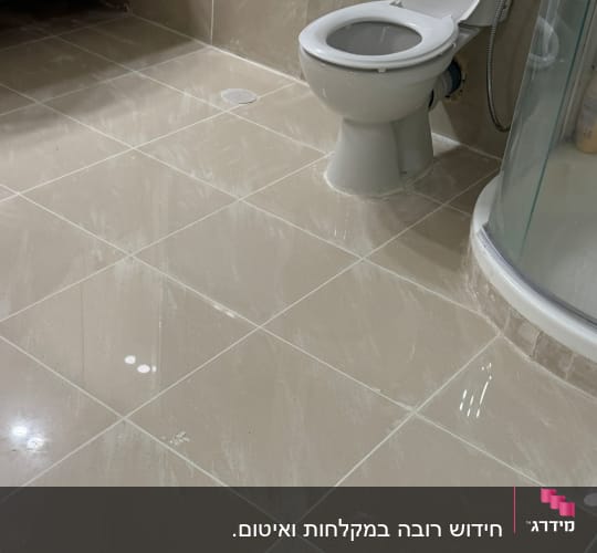 שירותים ומקלחת עם ריצוף חדש